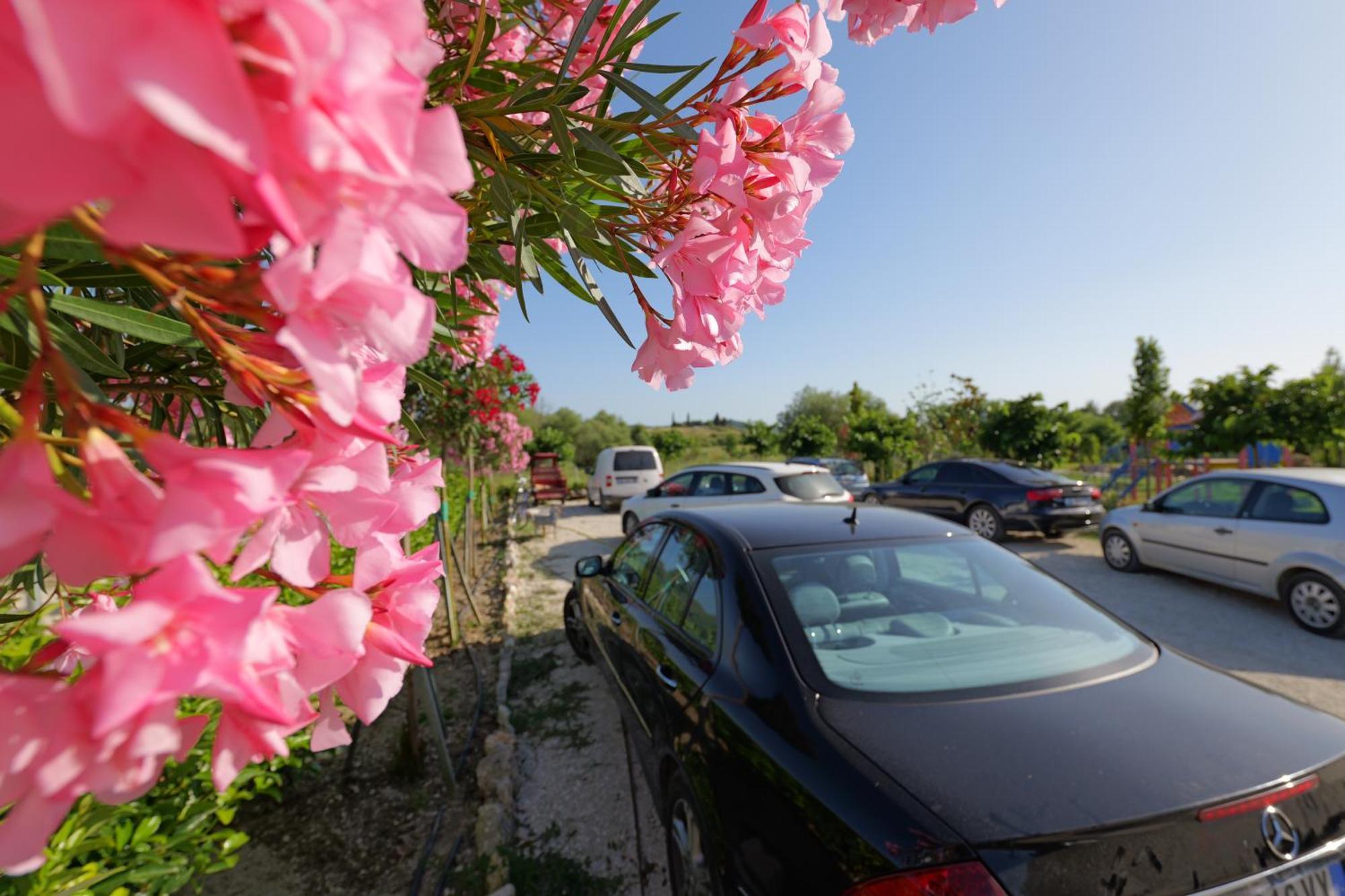 Mesopotam Agrotourism Resort Sarande Luaran gambar
