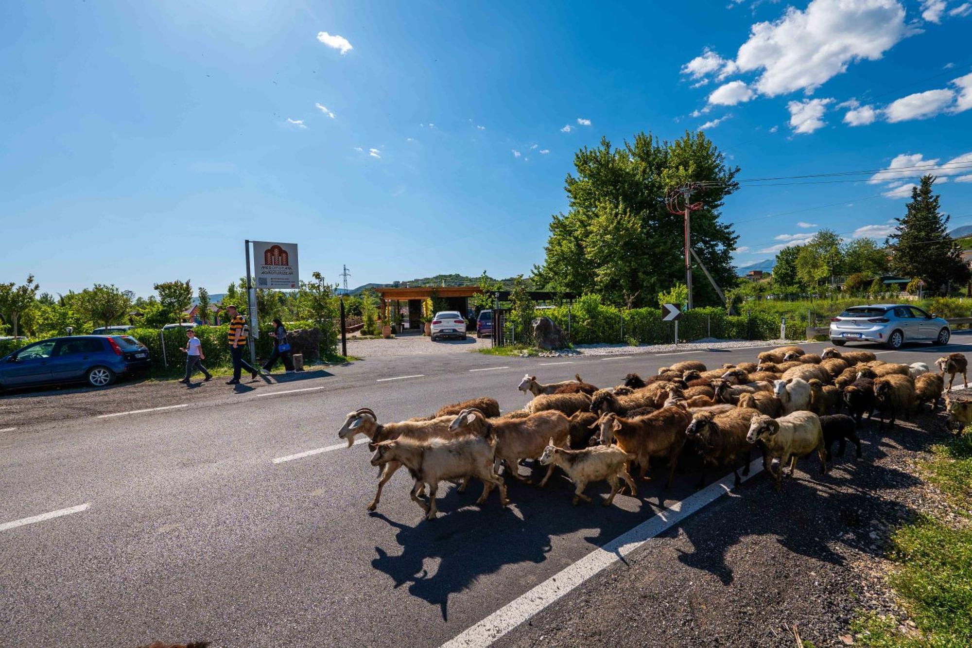 Mesopotam Agrotourism Resort Sarande Luaran gambar